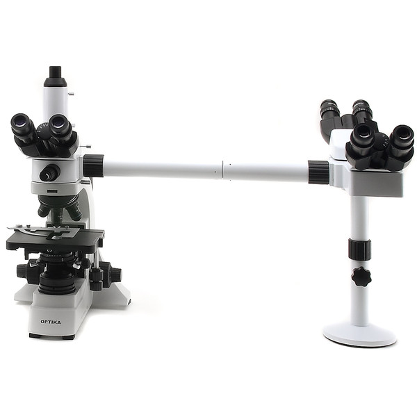 Optika B-500Ti-3, 3-head discussion microscope, trinocular, 1000x, LED