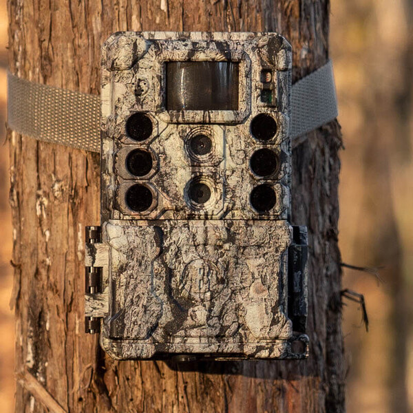 Bushnell Wildlife camera 32MP CORE DS4K Tree Bark Camo No Glow, Box 5L