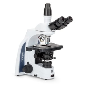 Euromex Microscope iScope IS.1153-PLPH, PH, trino, DIN, plan, 100x-1000x, LED, 3W