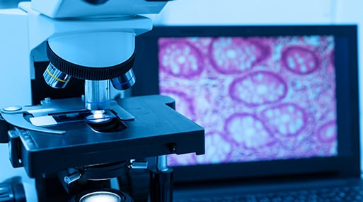 Citología y patología