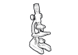 Microscopi diritti 