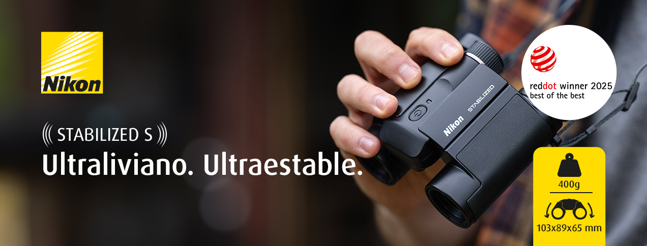 Nikon Stabilized S
