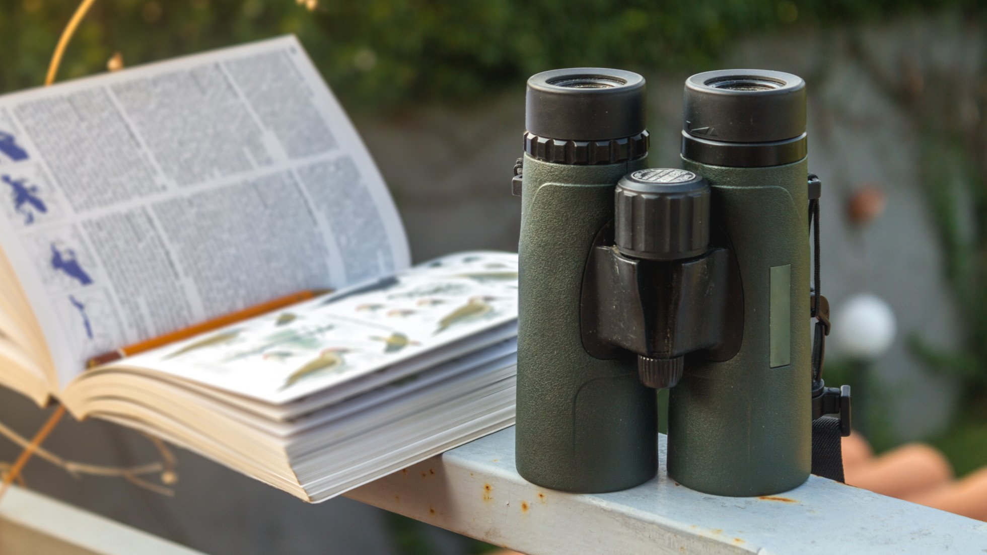 Binoculars advice