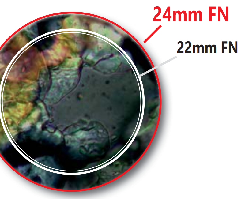 Objectives & eyepieces