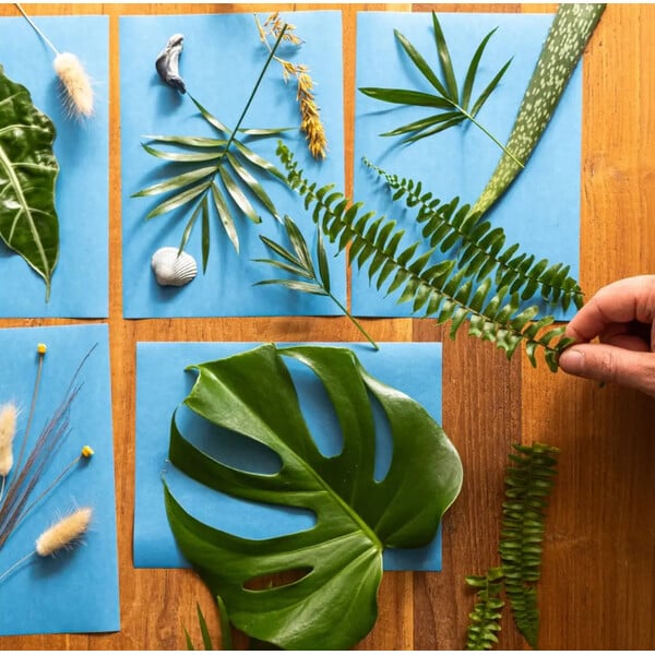 AstroMedia kit: Solar Photographic Paper, DIN A4, 10 sheets
