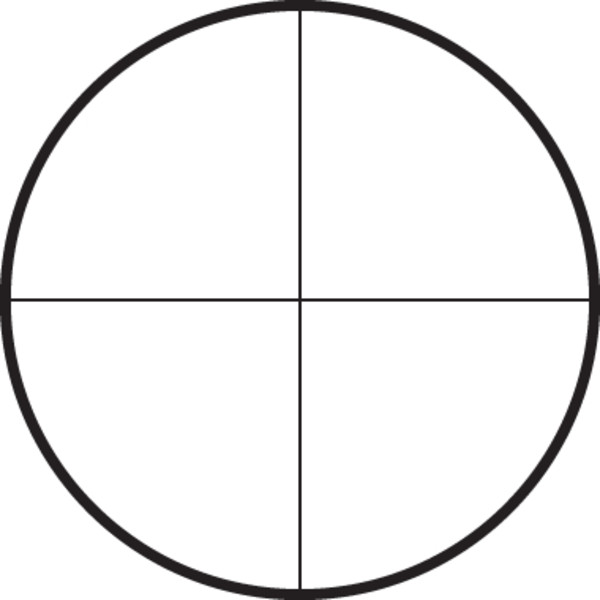 Leupold Riflescope Competition 45x45