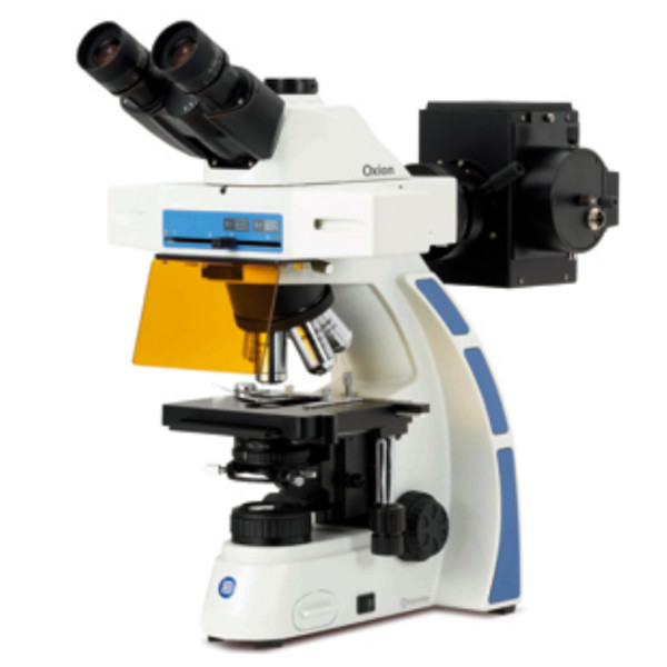 Euromex OX.3085 trinocular microscope, Fluarex, oil immersion