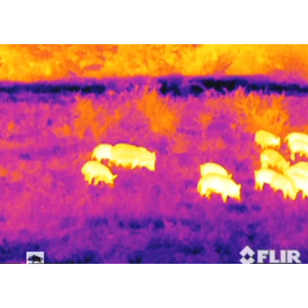 Armasight Thermal imaging camera Prometheus 336 HD 30 Hz 8-32x100