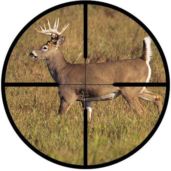 Redfield Pointing scope Revolution 2-7x33, 4-PLEX telescopic sight