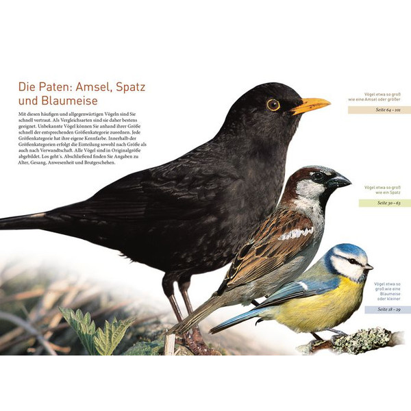 Kosmos Verlag Life Size Garden Birds (in German)