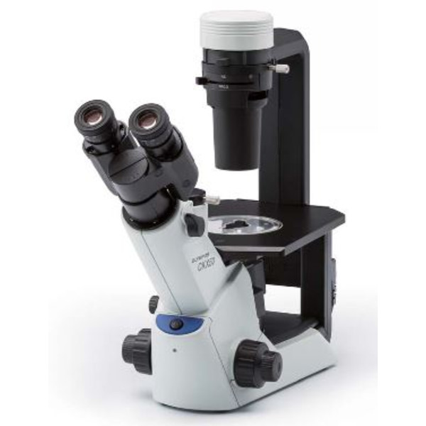 Evident Olympus Inverted microscope Olympus CKX53 Hellfeld V1, trino, 40x, 100x,
