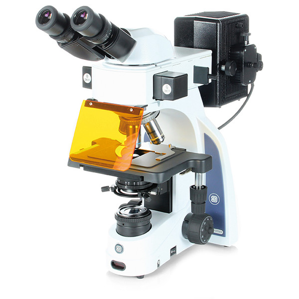 Euromex Microscope iScope, IS.3152-EPLi/3, bino