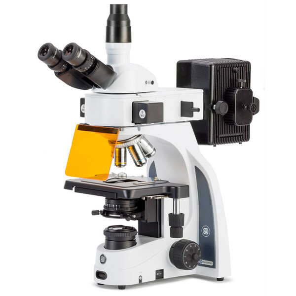 Euromex Microscope iScope, IS.3153-PLi/3, trino