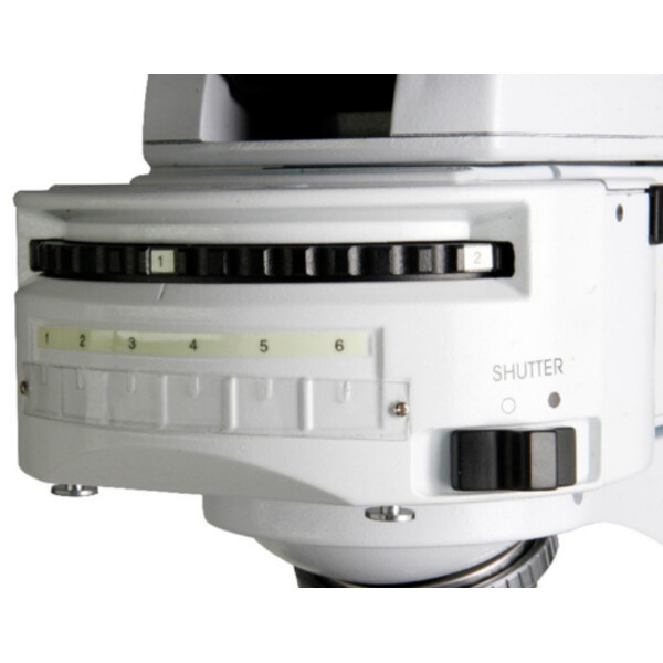 Euromex Microscope iScope, IS.3153-PLi/3, trino