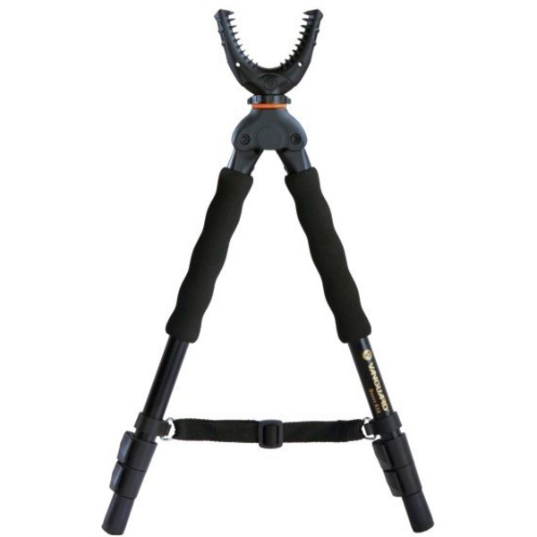 Vanguard Quest B38