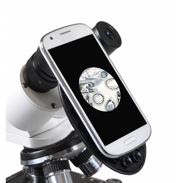 Bresser Microscope Erudit Basic, bino, 40x-400x