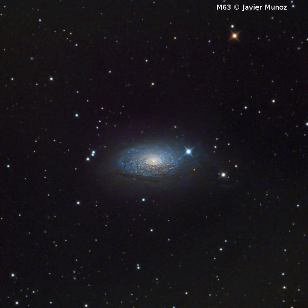 Omegon Telescopio RC 154/1370 EQ570DX
