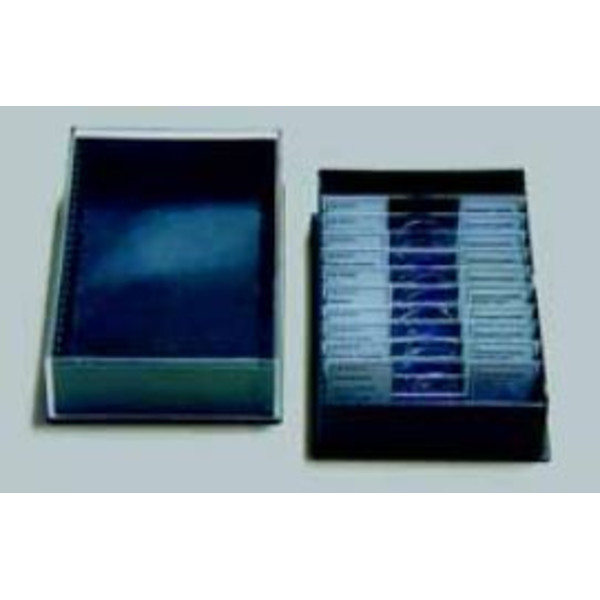 LIEDER Invertebrata, elementary set, 25 microscope slides