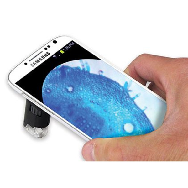 Carson MM-240 smartphone microscope + Galaxy S4 Adapter