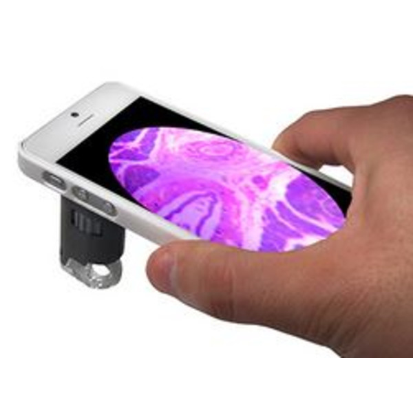 Carson MM-255 smartphone microscope + iPhone 5 Adapter