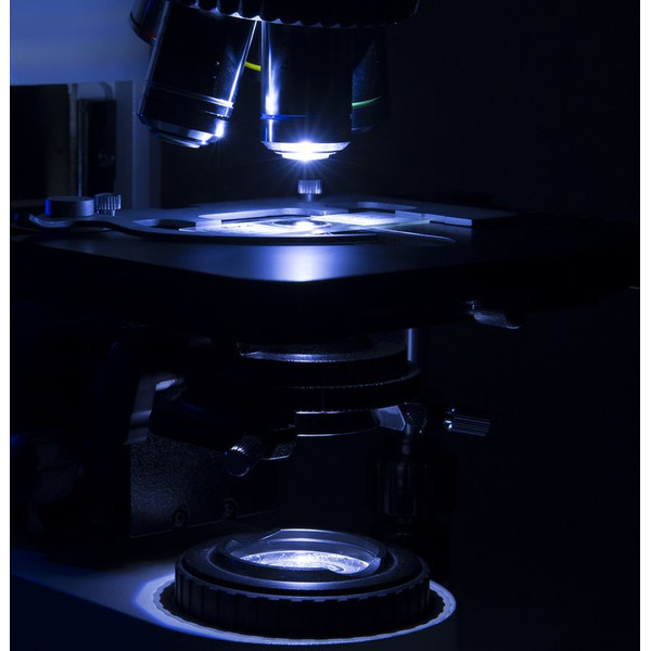 Optika Microscope B-1000, Modell 1, brightfield (w.o. objectives), trino