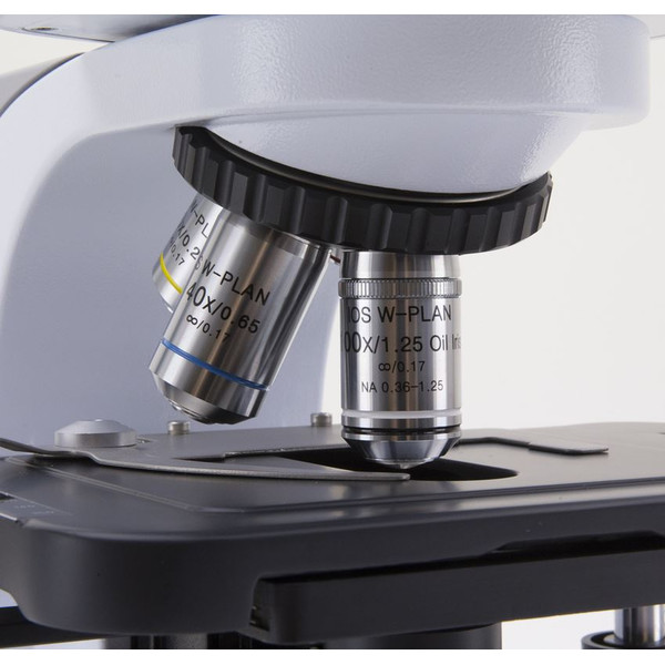 Optika Microscope Mikroskop B-510DKIVD, trino, darkfield, W-PLAN IOS, W-PLAN, 40x-1000x, IVD