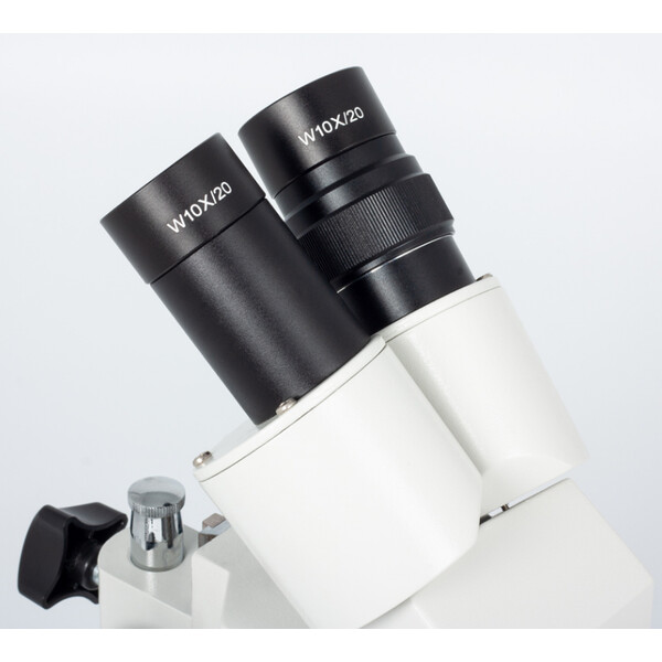 Motic Stereo microscope ST-30C-2LOO, 20x/40x