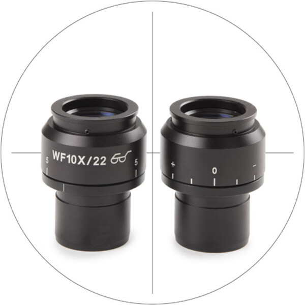 Euromex Ocular micrométrico NZ.6210-C, 10x/22 mm SWF, retículo (Nexius EVO)
