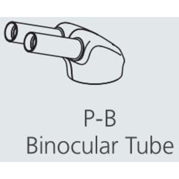 Nikon Cabazal estereo microsopio P-B Bino Tube