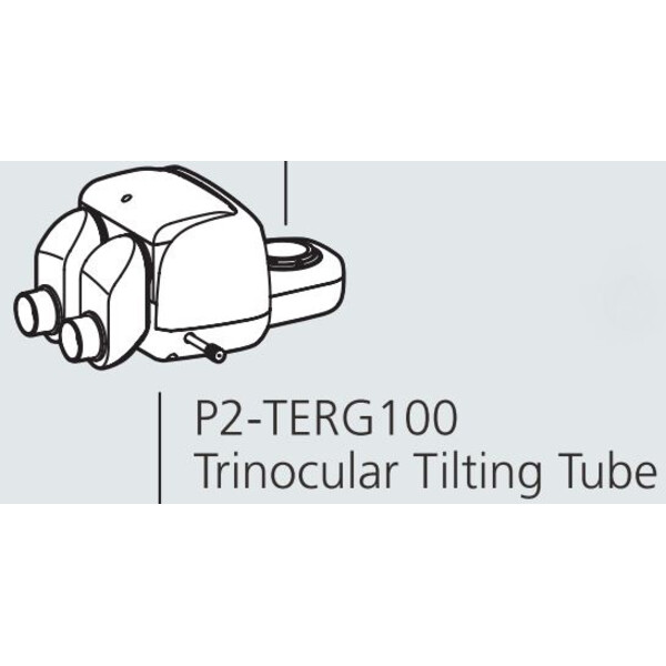 Nikon Stereo zoom head P2-TERG 100 trino ergo tube (100/0 : 0/100), 0-30°