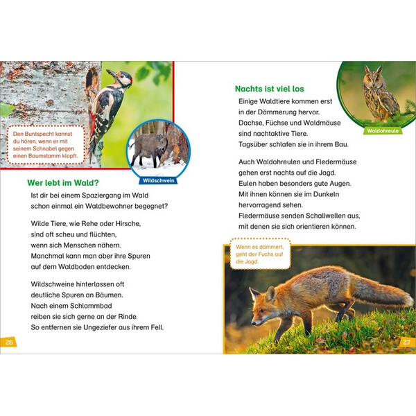 Tessloff-Verlag WAS IST WAS First Reading: Discovering Nature