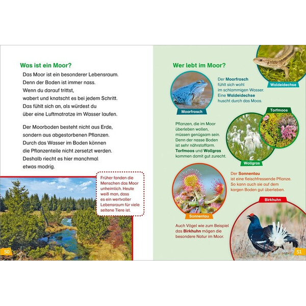 Tessloff-Verlag WAS IST WAS First Reading: Discovering Nature