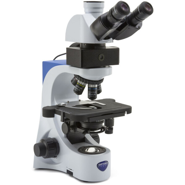 Optika Microscope B-383LD, trino, FL-LED, blue filter, N-PLAN, IOS, 40x-1000x