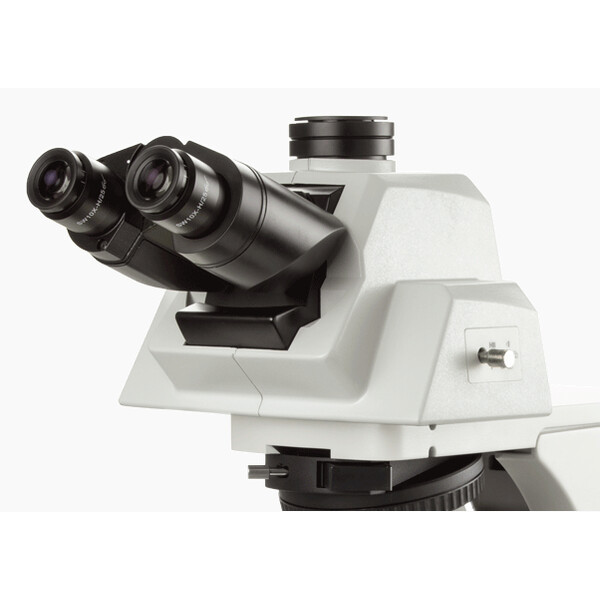 Euromex Microscope Delphi-X, DX.2158-APLi, trino, 40x - 1000x, Plan semi-apochromat., mit ergonom. Kopf u.100W Halogen-Beleuchtung