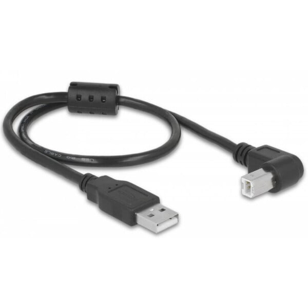 PegasusAstro Cavo Set cavi USB 2x USB2.0 Tipo B 50 cm
