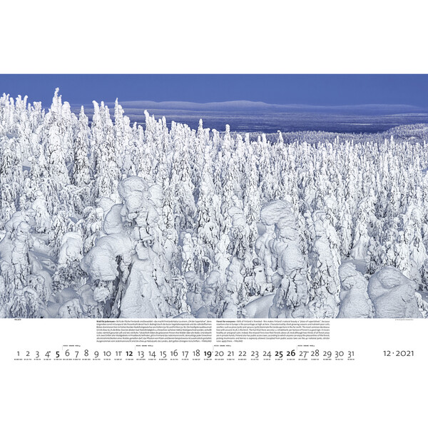 Palazzi Verlag Calendar Forests of the Earth 2021