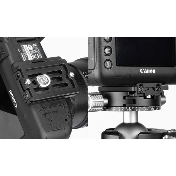 Leofoto Quick release plate NP-60