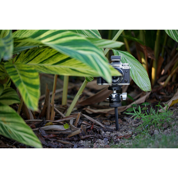 Leofoto Tripod A200 Erdspieß + P50 Auflageteller