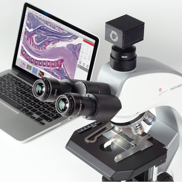 Motic Microscope Panthera C2, Trinocular (Without 100X), infinity, plan, achromatic, 40x-400x, Halogen/LED
