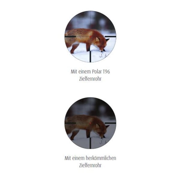 Schmidt & Bender Mirino 4-16x56 Polar T96 Abs. D7, 34 mm, Senza guida // Senza guida Posicon