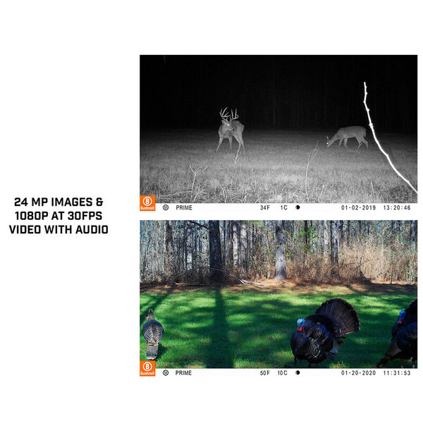 Bushnell Wildlife camera 24MP Prime kern bruin lage gloed