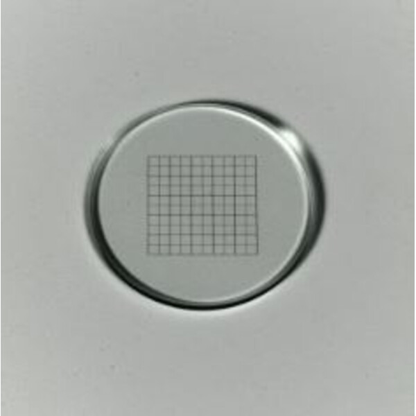 ZEISS mesh micrometre 12.5x12.5/5;10, d=26 mm