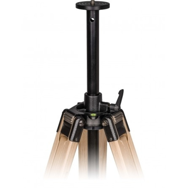 Berlebach Wooden tripod Report 222 3/8"