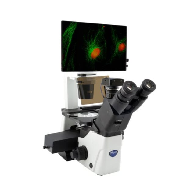 IM-300LD4D Digitale omgekeerde LED-fluorescentiemicroscoop, 400x, IOS LWD PLAN F, 4 lege filtersetsleuven