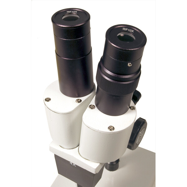 Levenhuk Stereo microscoop 2ST 40x