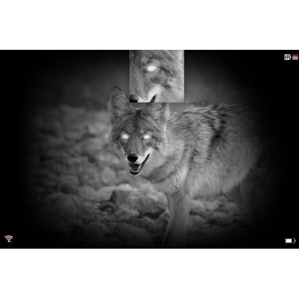 Pard Visore notturno NV009 940 nm
