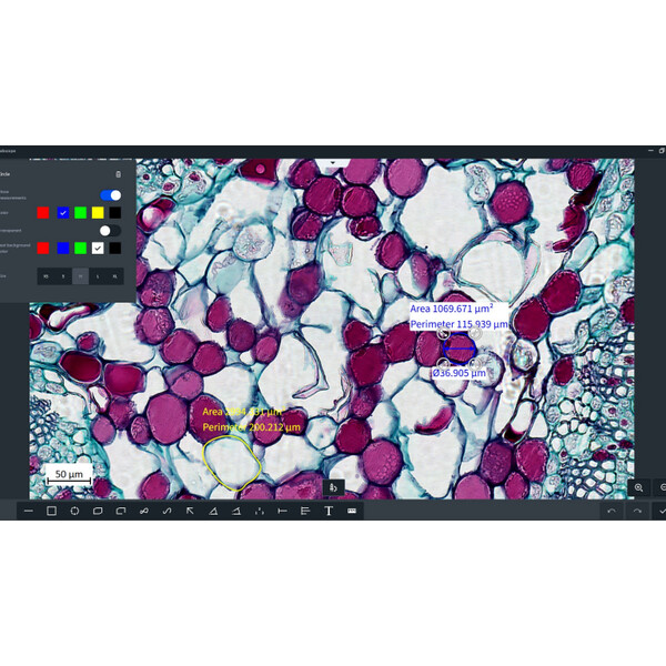 ZEISS software Labscope AI module Cell Counting Chamber DLic