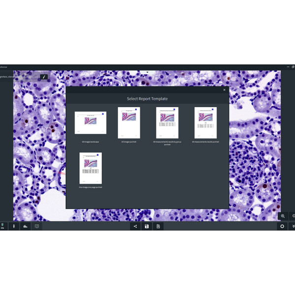 ZEISS software Labscope AI module Cell Counting Chamber DLic