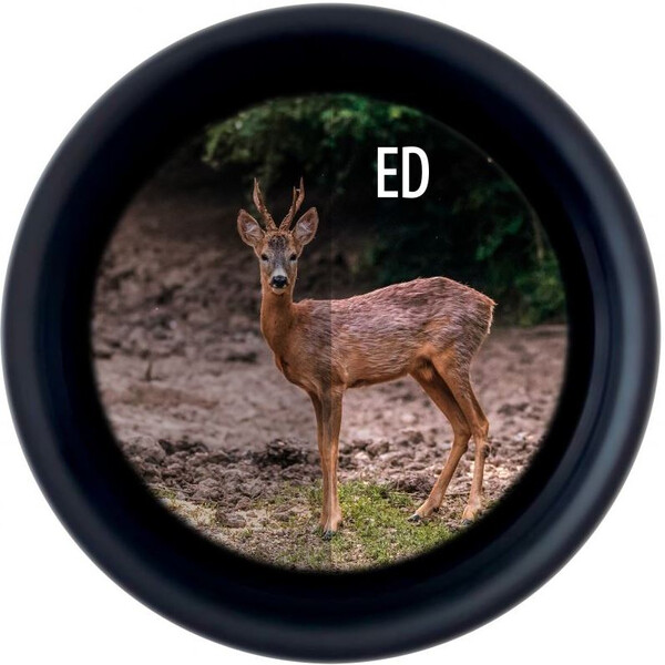 Minox Binocolo X-Tour 10x42