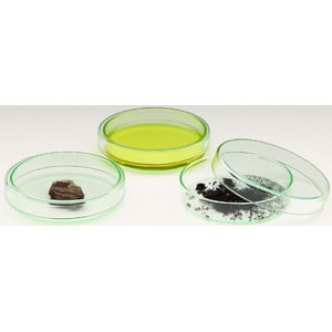 Windaus Petri dishes, 120x20mm, glass with lid